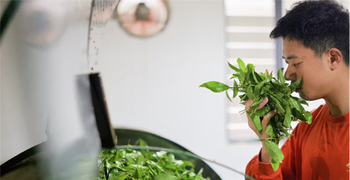 头雁领飞绿产业·戎装虽卸志不移